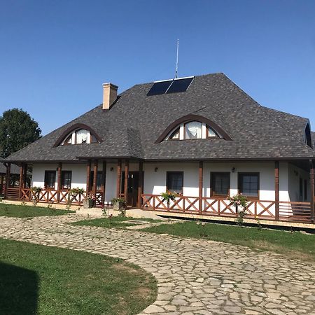 Casa Strabunicului Hotel Partestii de Sus  Екстериор снимка